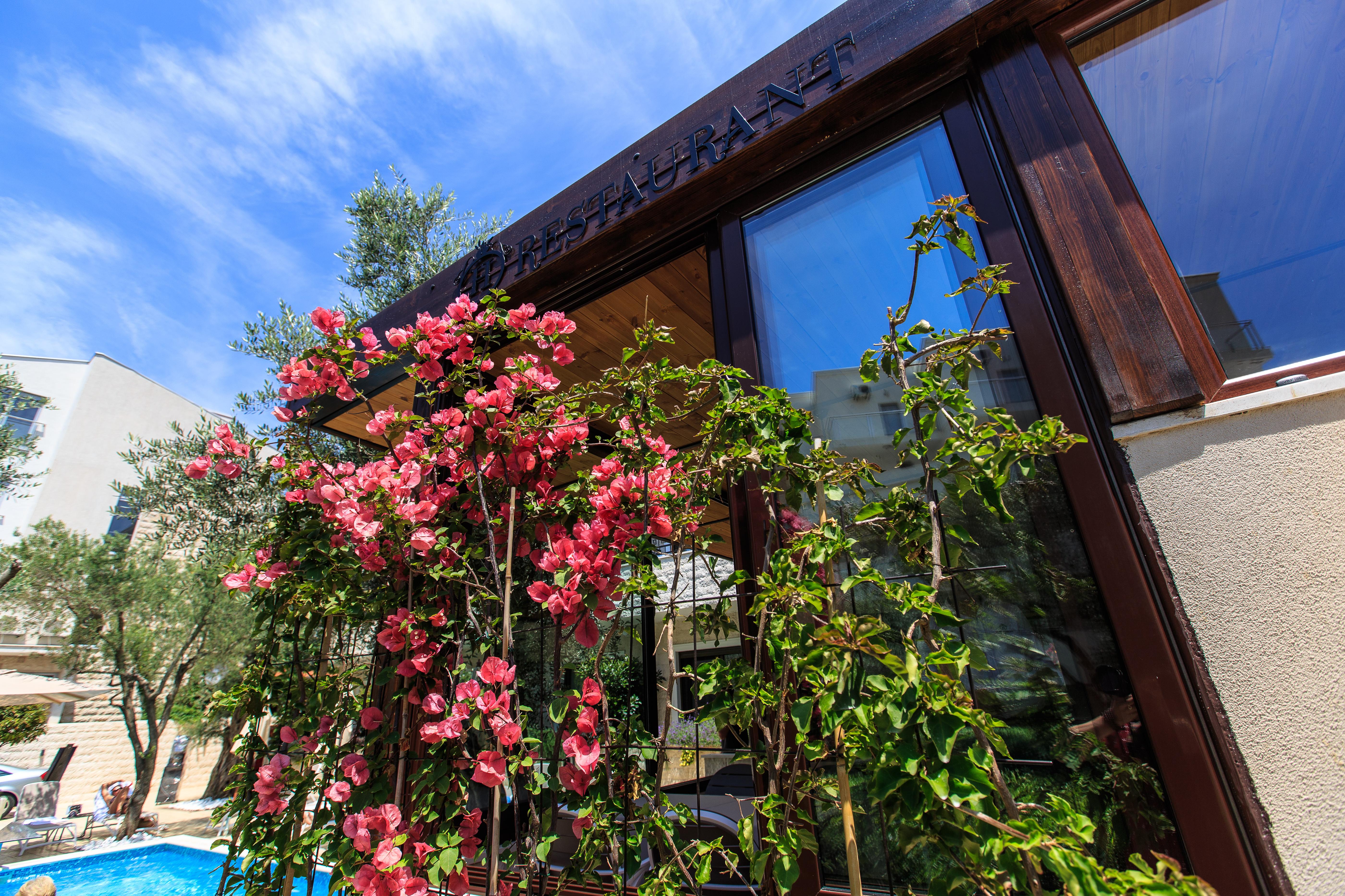 Hotel Harmony By Aycon Petrovac